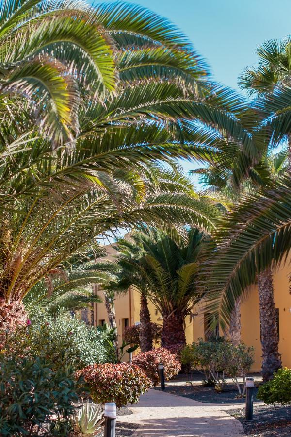 Fuerteventura Apartments Tamarindo 1 코라레호 외부 사진